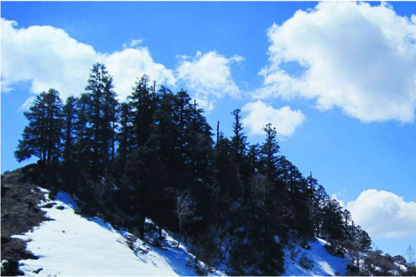 हराउँदै सुदूरपश्चिमली लोककथा